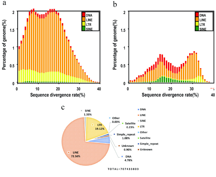 Genome assembly and annotation of the king ratsnake, <i>Elaphe carinata</i>.