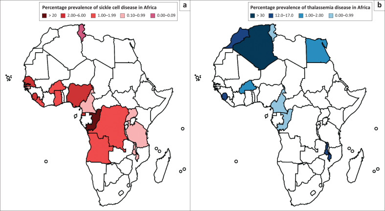 Bridging the gaps in newborn screening programmes: Challenges and opportunities to detect haemoglobinopathies in Africa.