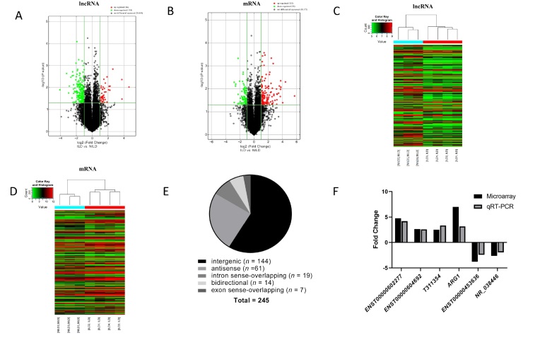 Identification and functional prediction of long non-coding RNA and mRNA related to connective tissue disease-associated interstitial lung diseases.