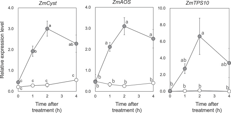 Structure-activity relationship of volatile compounds that induce defense-related genes in maize seedlings.