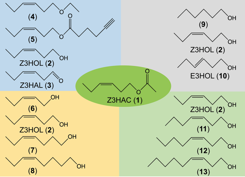 Structure-activity relationship of volatile compounds that induce defense-related genes in maize seedlings.
