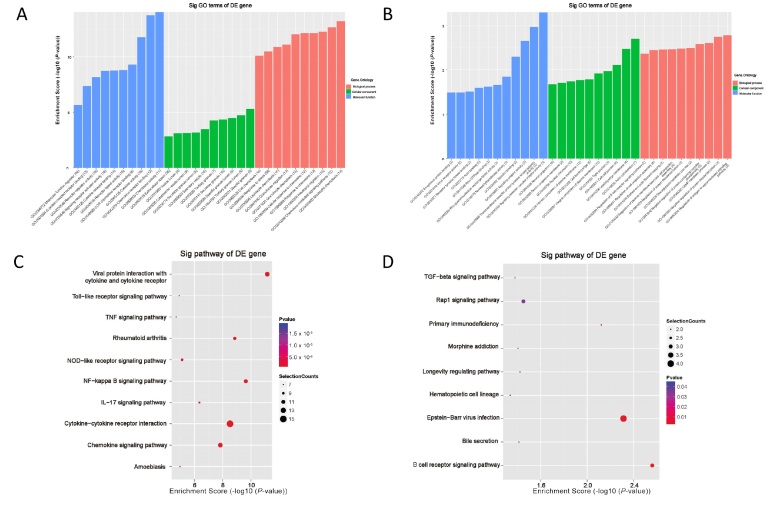 Identification and functional prediction of long non-coding RNA and mRNA related to connective tissue disease-associated interstitial lung diseases.