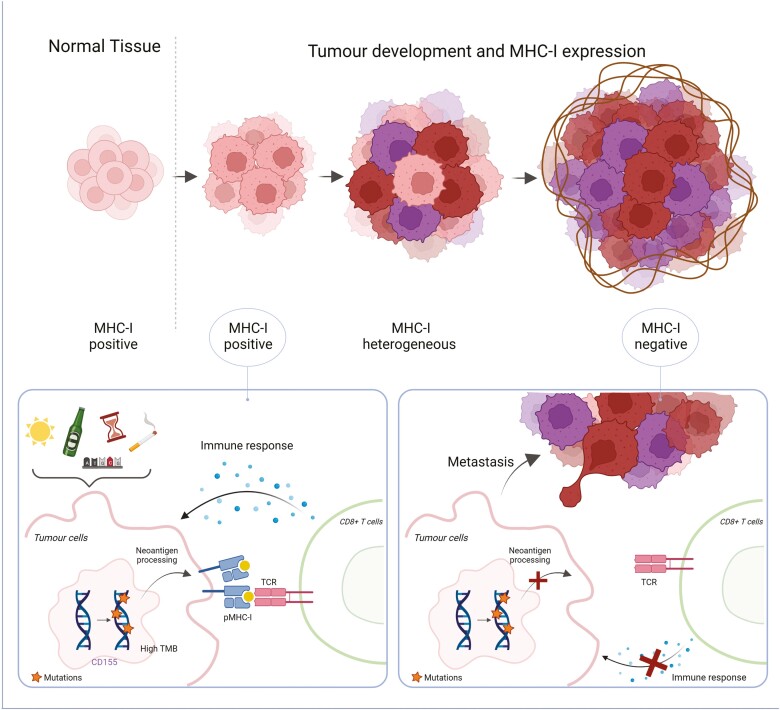 Strategies to overcome low MHC-I expression in paediatric and adult tumours.
