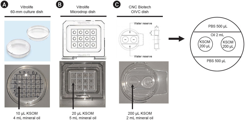 Enhancement of preimplantation mouse embryo development with optimized in vitro culture dish via stabilization of medium osmolarity.