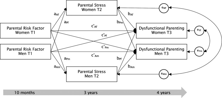 Parental stress mediates the effects of parental risk factors on dysfunctional parenting in first-time parents: A dyadic longitudinal study.