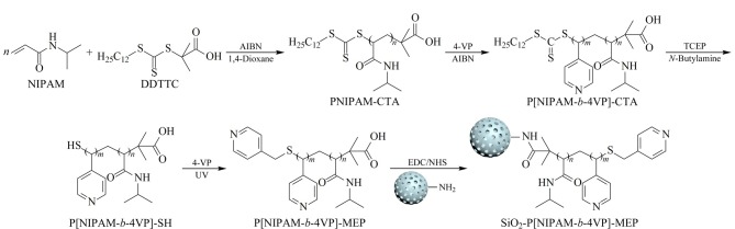 [Preparation of a block copolymer-based temperature-responsive affinity chromatography stationary phase for antibody separation and purification].