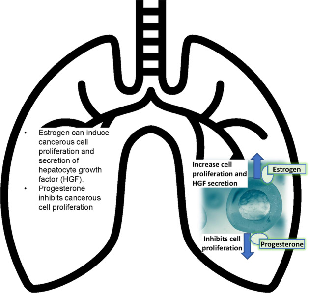 Effects of Hormone Replacement Therapy on Women's Lung Health and Disease.