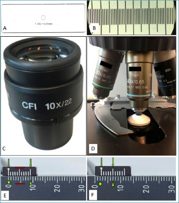 How to measure your microscope's HPF. A critical guide for residents.