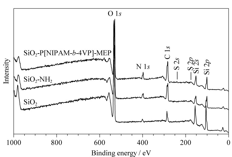 [Preparation of a block copolymer-based temperature-responsive affinity chromatography stationary phase for antibody separation and purification].