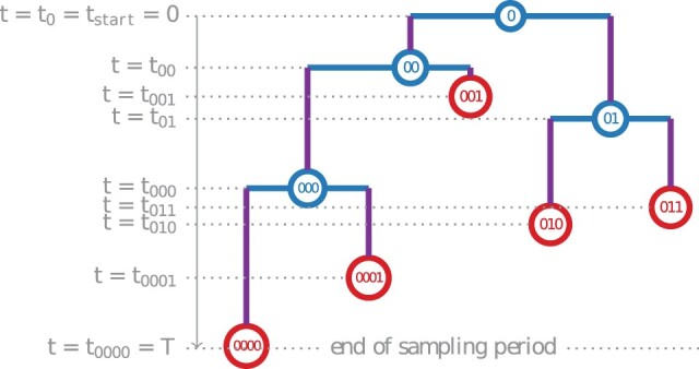 Fast and Accurate Maximum-Likelihood Estimation of Multi-Type Birth-Death Epidemiological Models from Phylogenetic Trees.