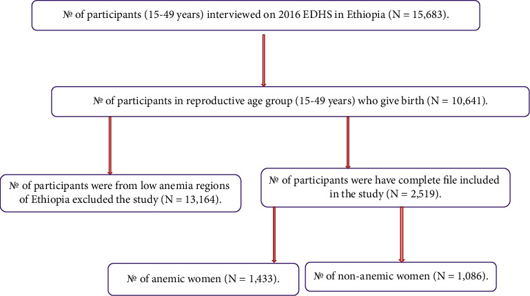 Anemia Prevalence and Risk Factors in Two of Ethiopia's Most Anemic Regions among Women: A Cross-Sectional Study.