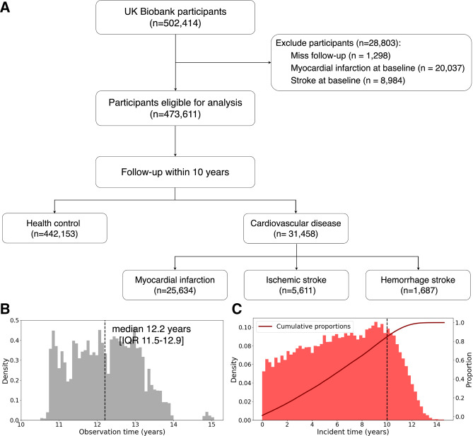 Development of machine learning-based models to predict 10-year risk of cardiovascular disease: a prospective cohort study.