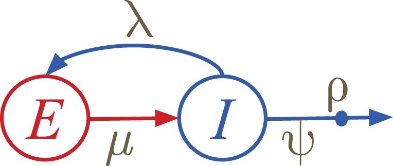 Fast and Accurate Maximum-Likelihood Estimation of Multi-Type Birth-Death Epidemiological Models from Phylogenetic Trees.