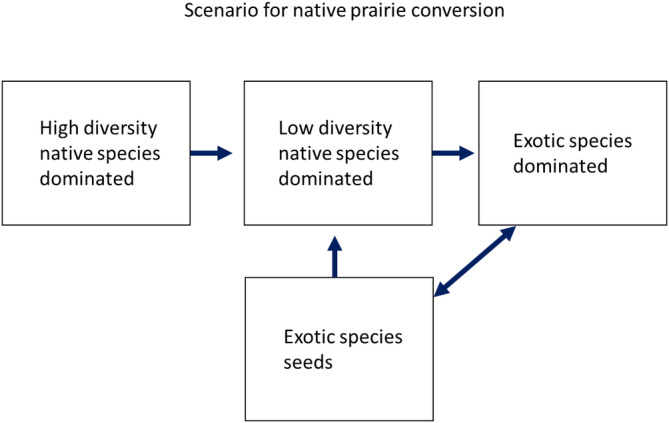 Establishment from seed is more important for exotic than for native plant species.