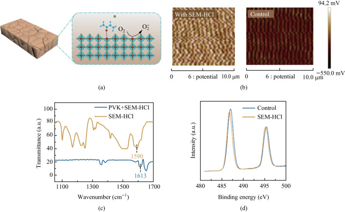 Suppression of deep-level traps via semicarbazide hydrochloride additives for high-performance tin-based perovskite solar cells.