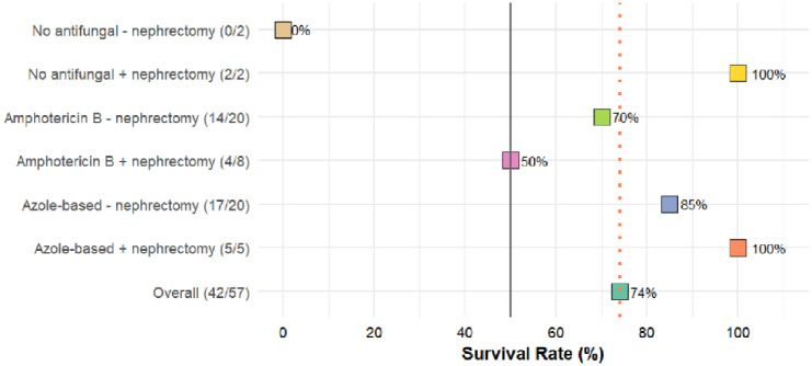 Isolated renal and urinary tract aspergillosis: a systematic review.