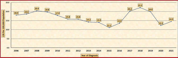 Epidemiology of Hepatitis B in Saudi Arabia from 2006 to 2021.