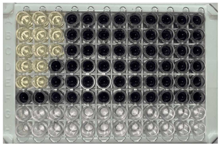 Abstract Image