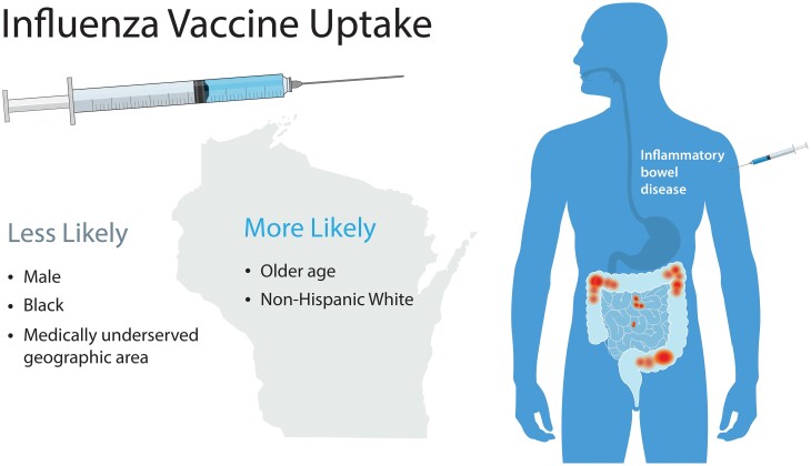 Racial, Ethnic, and Geographic Disparities in Immunization Rates Among Patients With Inflammatory Bowel Disease.