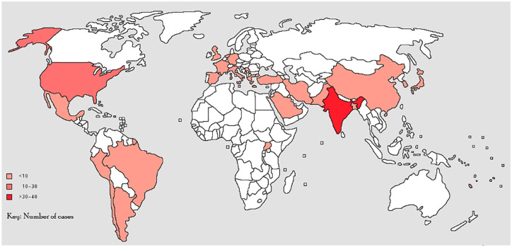Isolated renal and urinary tract aspergillosis: a systematic review.