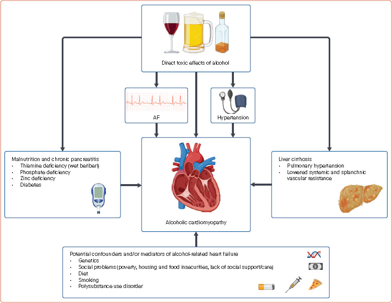 Alcohol and Heart Failure.