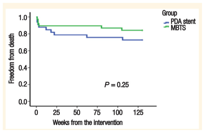 Blalock-Taussig Shunt versus Ductal Stenting as Palliation for Duct-Dependent Pulmonary Circulation.