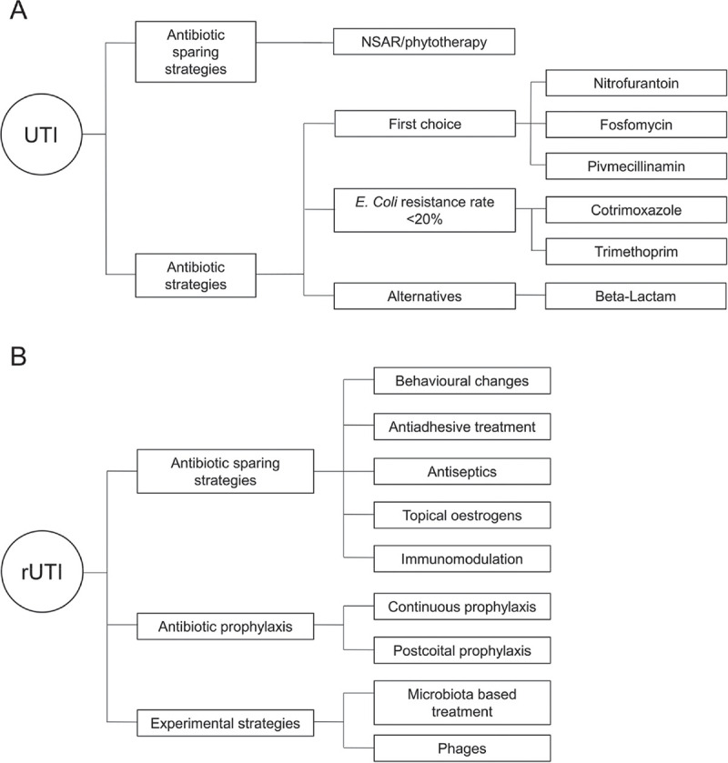 Management of urinary tract infections in the era of antimicrobial resistance.