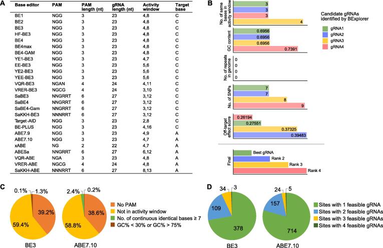 Systematic Exploration of Optimized Base Editing gRNA Design and Pleiotropic Effects with BExplorer