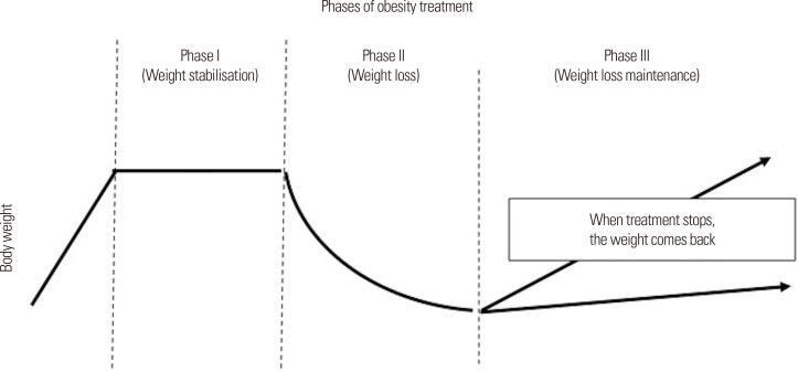The Transformative Impact of New Anti-Obesity Medications: A Paradigm Shift in Medical Practice?