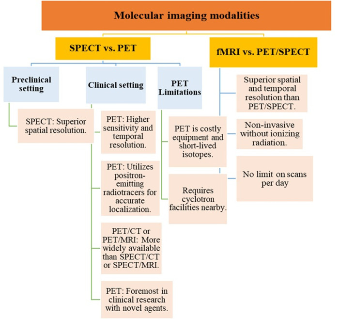 Roles of molecular neuroimaging techniques in Parkinsonism.