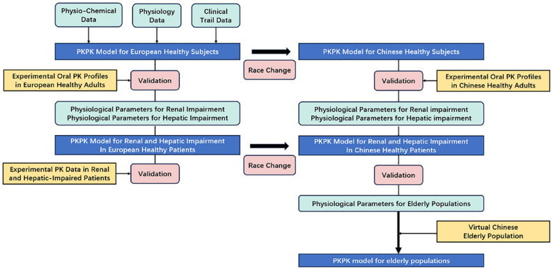 Physiologically based pharmacokinetic modeling of candesartan to predict the exposure in hepatic and renal impairment and elderly populations.