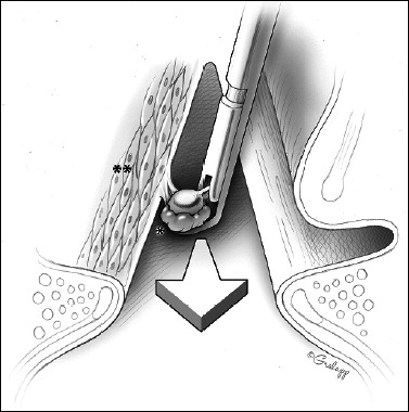 Abstract Image