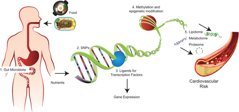 Nutrigenomics and microbiome shaping the future of personalized medicine: a review article