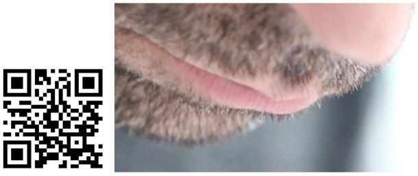 InterFaces: On the relationality of vision, face and race in practices of identification. A multimodal intervention.
