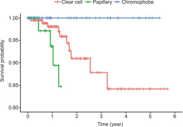 Exploring Renal Malignancies in Saudi Arabia: Insights from a Tertiary Care Center Study.