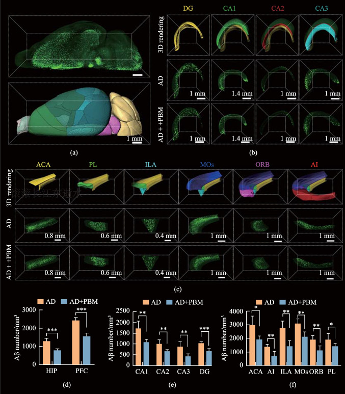 Photostimulation of lymphatic clearance of β-amyloid from mouse brain: a new strategy for the therapy of Alzheimer's disease.
