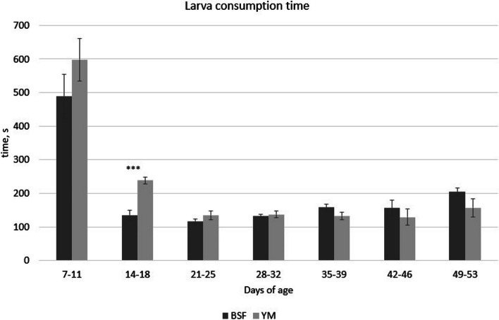 Does the provision of live black soldier fly and yellow mealworm larvae improve Muscovy duck welfare?