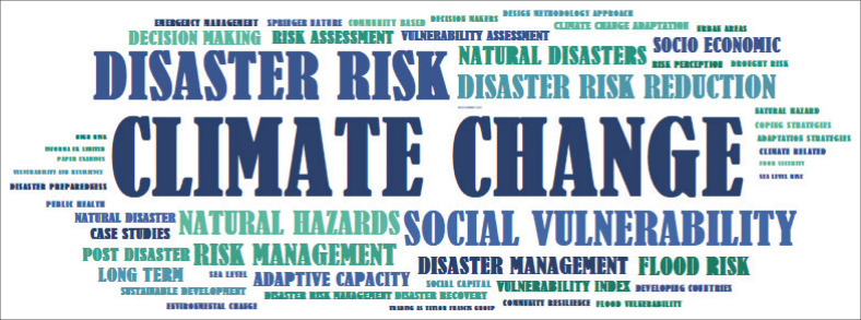 Revisiting frameworks: Have they helped us reduce disaster risk?