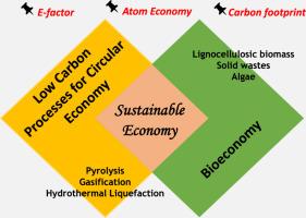 An assessment of sustainability metrics for waste-to-liquid fuel pathways for a low carbon circular economy