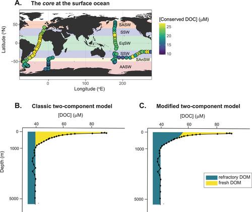 Processes in the Surface Ocean Regulate Dissolved Organic Matter Distributions in the Deep