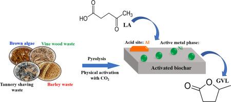 Activated biochars as sustainable and effective supports for hydrogenations