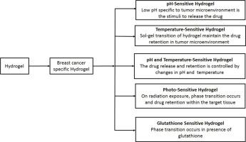 Hydrogel-bound cytotoxic drug delivery system for breast cancer