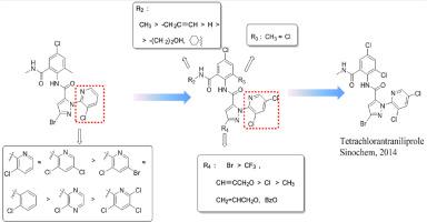 Anthranilic diamide compounds: Discovery of tetrachlorantraniliprole