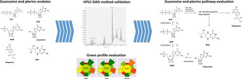 Liquid chromatographic method for extracellular Guanosine 5′-triphosphate and tetrahydrobiopterin pathway products analysis from cadaveric samples and human biofluids