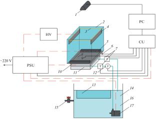 A Portable Wilson Cloud Chamber for Full-Scale Demonstration of Nuclear Physics Phenomena