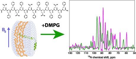 Peptoid-based macrodiscs of variable lipid composition for structural studies of membrane proteins by oriented-sample solid-state NMR