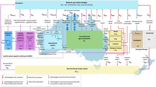 A Comprehensive Assessment of Anthropogenic and Natural Sources and Sinks of Australasia's Carbon Budget