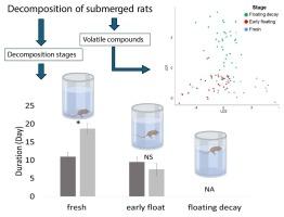 On the styx bank - characterization of the headspace cadaveric volatiles released by submerged decaying rats