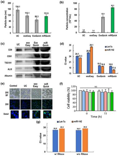 An innovative charge-based extracellular vesicle isolation method for highly efficient extraction of EV-miRNAs from liquid samples: miRQuick