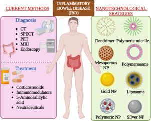 Iron oxide nanoparticles for inflammatory bowel disease: Recent advances in diagnosis and targeted drug therapy